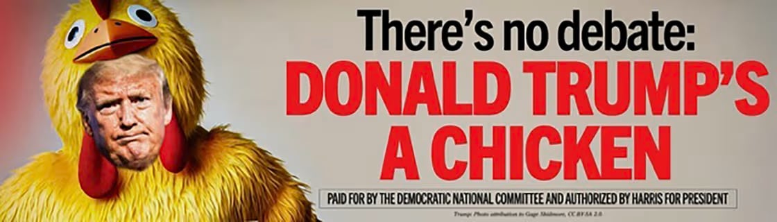 Democrats dub Trump a chicken