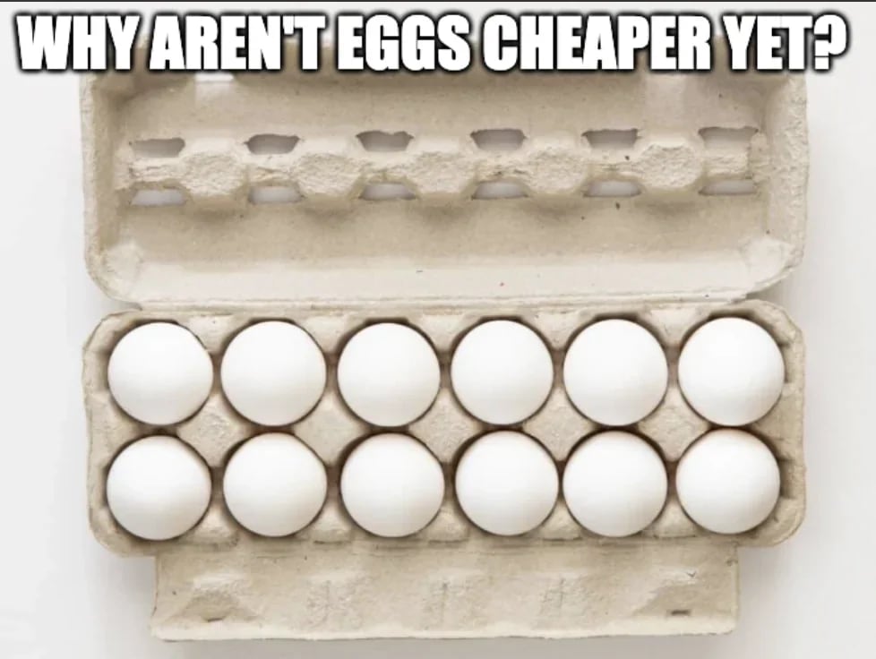 Why aren't eggs cheaper yet?