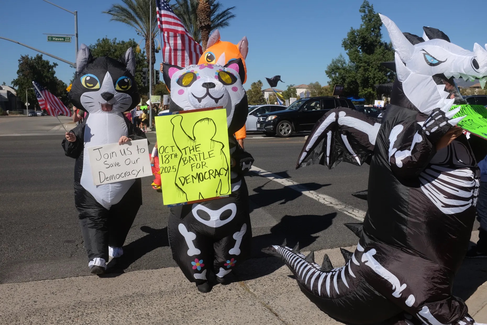 furries furries